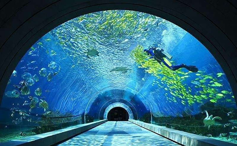 三亞潛水攻略，潛水內(nèi)幕（原文螞蜂窩）