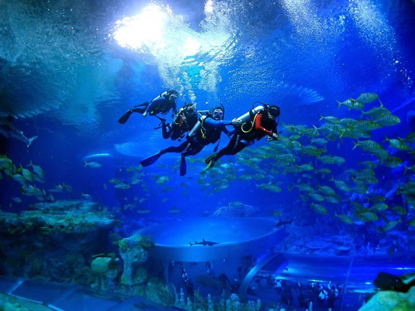 潛在水里，學(xué)做一條靜靜的魚