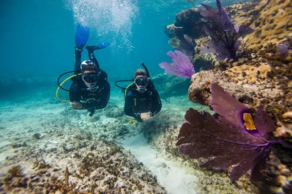 【水肺潛水安全嗎？】轉(zhuǎn)自PADI