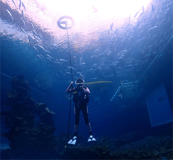 潛水常見(jiàn)問(wèn)題，原來(lái)潛水沒(méi)你想的那么難