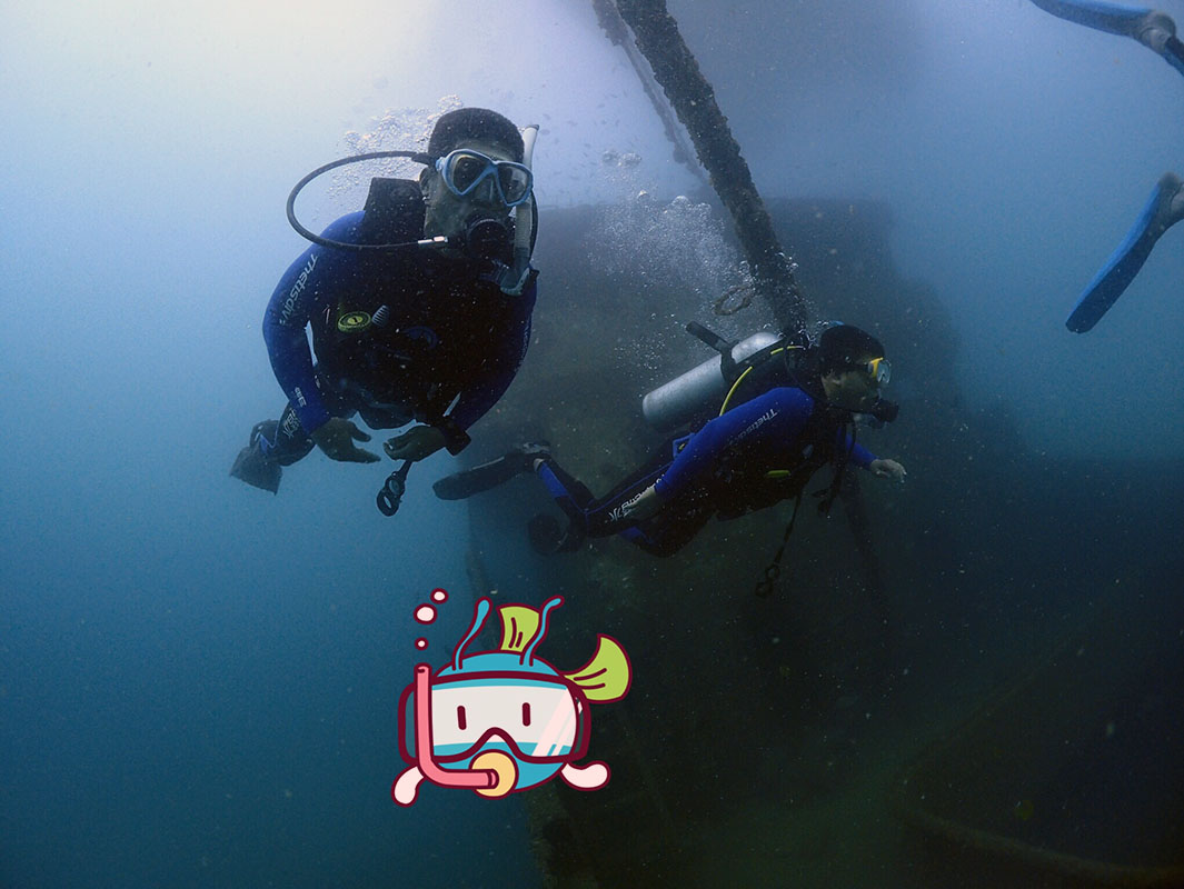 除了俯瞰大地的飛翔，還有潛入海底的翱翔。