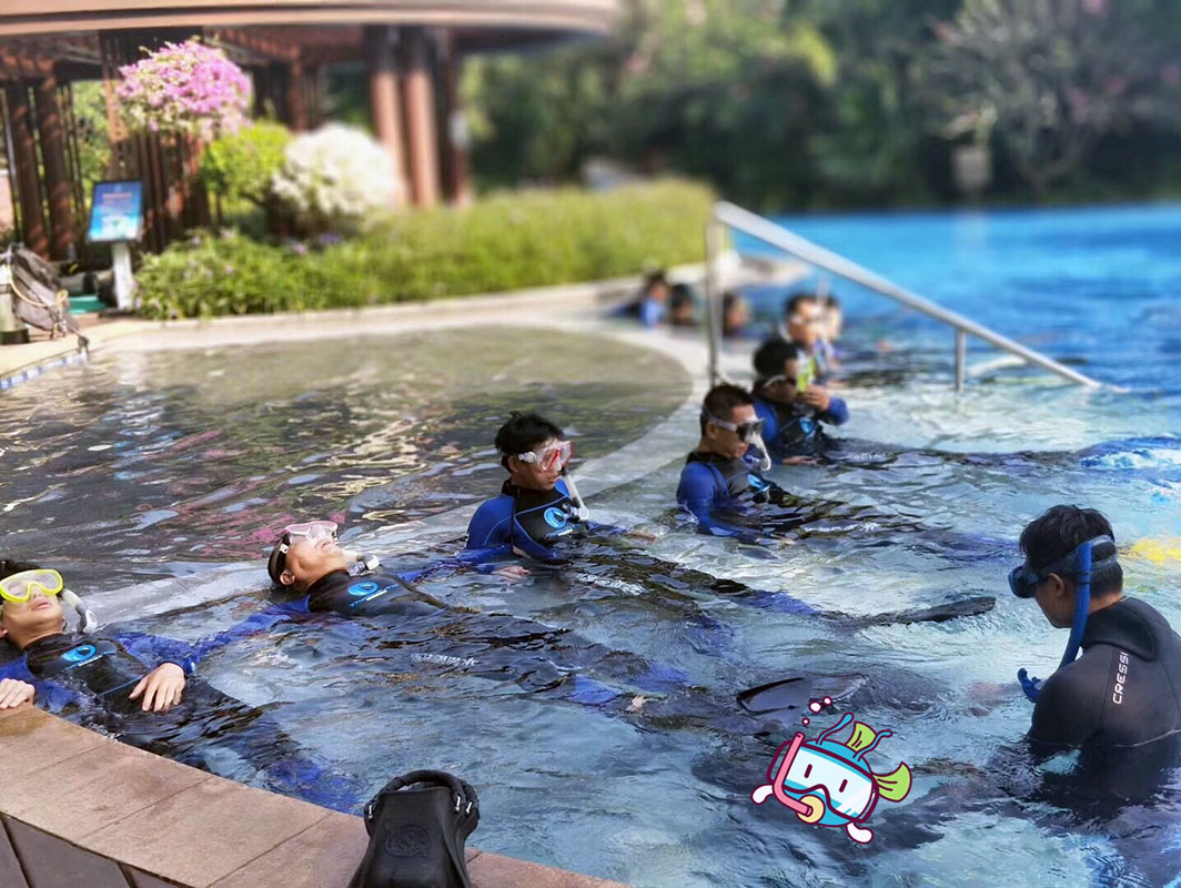 除了俯瞰大地的飛翔，還有潛入海底的翱翔。