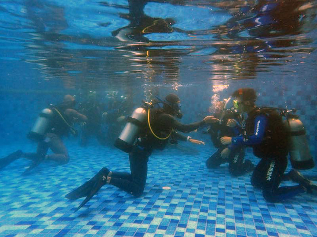 除了俯瞰大地的飛翔，還有潛入海底的翱翔。